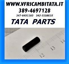 SAFARI - TELCOLINE - XENON : PARTS CAMBIO - RULLO SELETTORE - COD-R0099-ME2