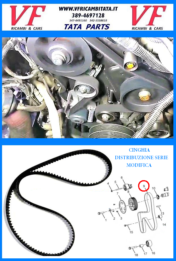 SAFARI - TELCOLINE - XENON : A - DISTRIBUZIONE 2.2 DICOR - CINGHIA DENTATA SERIE MODIFICA - COD-B0004-9E (VER)