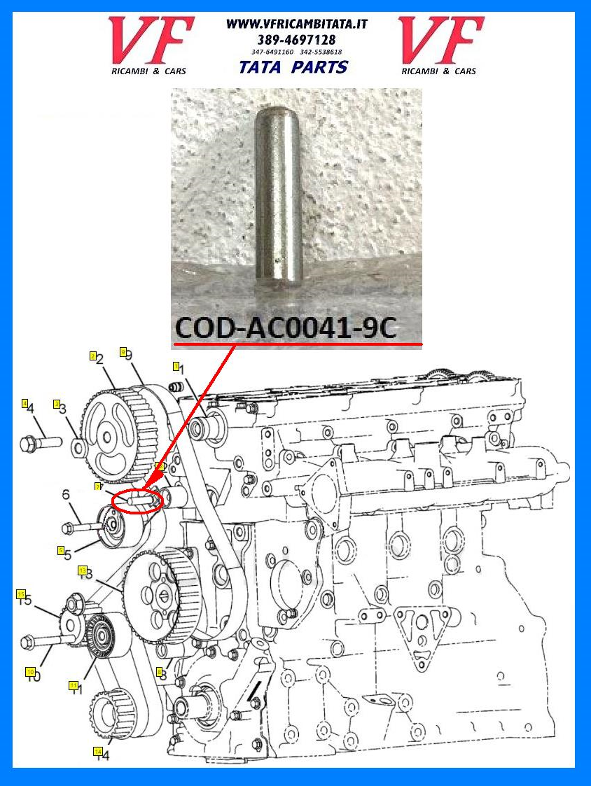 SAFARI - TELCOLINE - XENON : A - DISTRIBUZIONE 2.2 DICOR - CUSCINETTO TENDICINGHIA SUPERIORE SERIE MODIFICA - PERNO - COD-AC0041-9C-TRV3