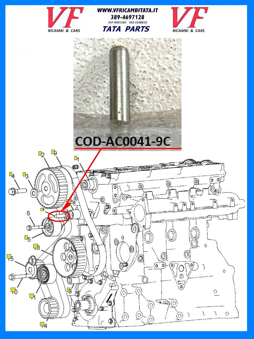 SAFARI - TELCOLINE - XENON : A - DISTRIBUZIONE 2.2 DICOR - CUSCINETTO TENDICINGHIA SUPERIORE SERIE MODIFICA - PERNO - COD-AC0041-9C