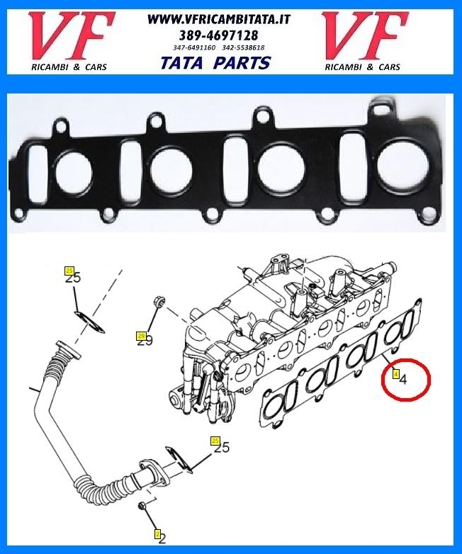 SAFARI - TELCOLINE - XENON : COLLETTORE ASPIRAZIONE/SCARICO 2.2 DICOR - GUARNIZIONE - COD-B0029-9B