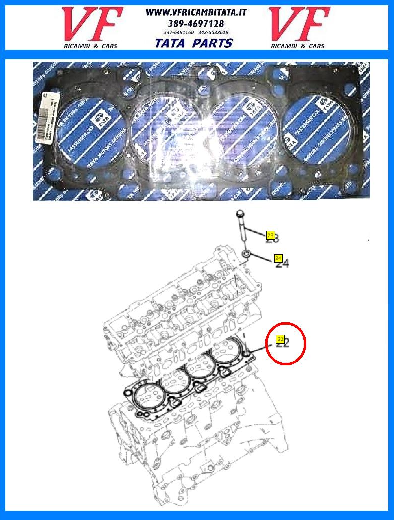 SAFARI - TELCOLINE - XENON : A - GUARNIZIONE TESTATA 2.2 DICOR MLS - COD-A0075-9E  COD-A0076-TRV28  COD-A0077