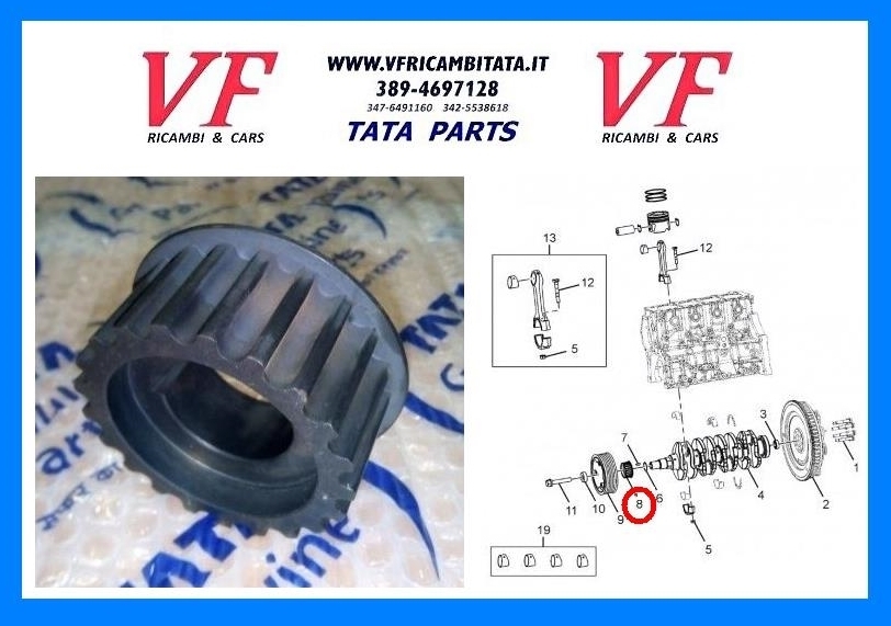 SAFARI - TELCOLINE - XENON : A - DISTRIBUZIONE 2.2 DICOR - INGRANAGGIO SINTERIZZATO ALBERO MOTORE - COD-N0068-TRV19