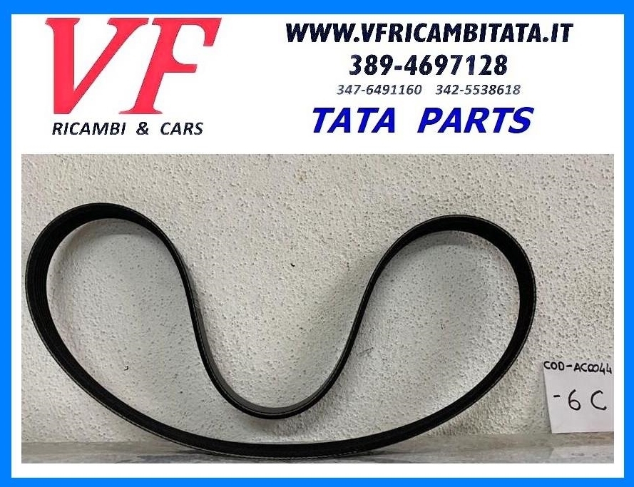 TATA ARIA : CINGHIA SERVIZI ALTERNATORE - SERVOSTERZO - COD-AC0044-6C