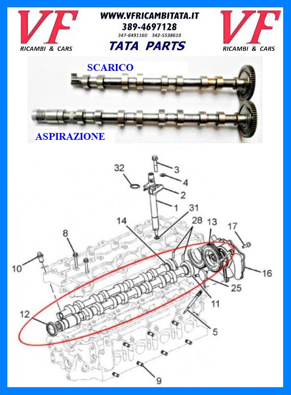 SAFARI - TELCOLINE - XENON : TESTATA 2.2 DICOR - ALBERO CAMMES - COD-V0092 COD-V0093-REV