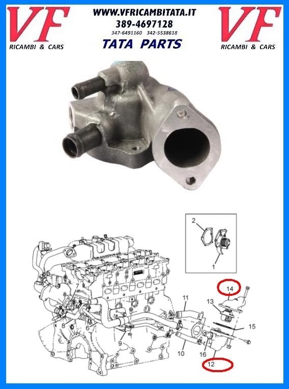 SAFARI - TELCOLINE - XENON : CALOTTA TERMOSTATO 2.2 DICOR - COD-J0050-REV