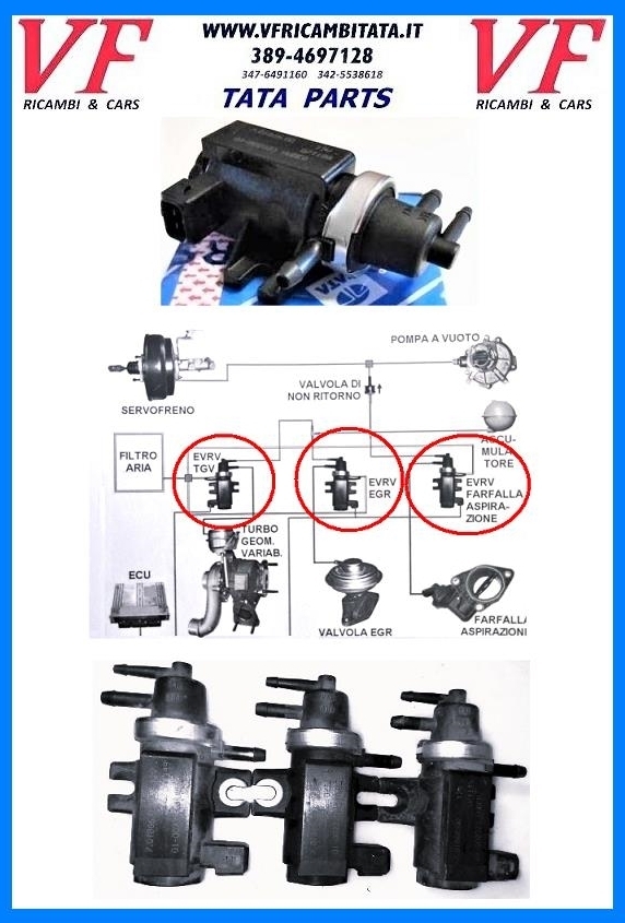 SAFARI - TELCOLINE - XENON : EGR 2.2 DICOR - VALVOLA VACUM MODULATRICE - COD-J0031-9D