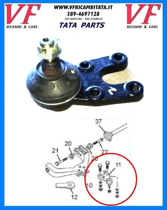 SAFARI - TELCOLINE - XENON : BRACCIO SOSPENSIONE INFERIORE - TESTINA - COD-M0051-TRV9