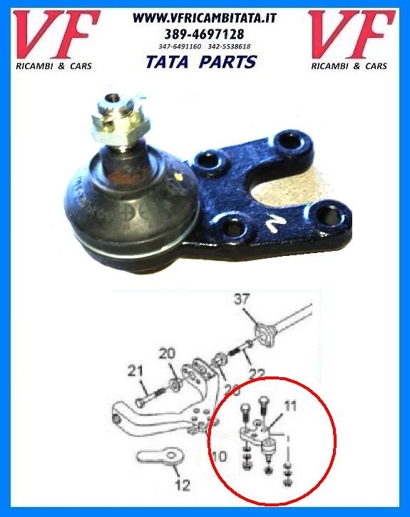 SAFARI - TELCOLINE - XENON : BRACCIO SOSPENSIONE INFERIORE - TESTINA - COD-M0051-15C