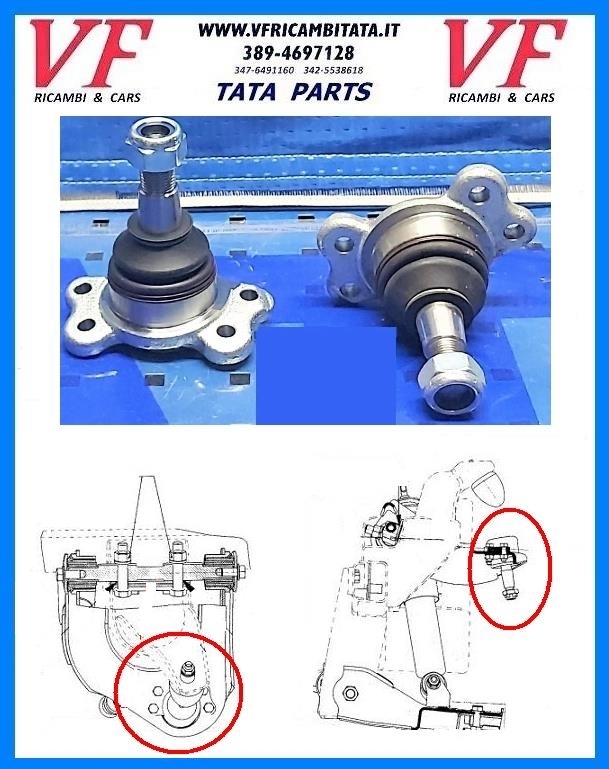 SAFARI - TELCOLINE - XENON : BRACCIO SOSPENSIONE SUPERIORE - TESTINA - COD-M0036-43B