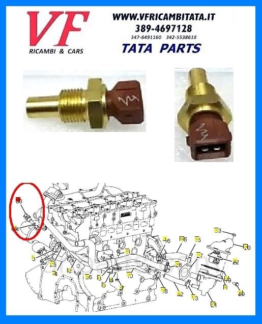 SAFARI - TELCOLINE - XENON : SENSORE TEMPERATURA MARRONE - COD-E0031-24A