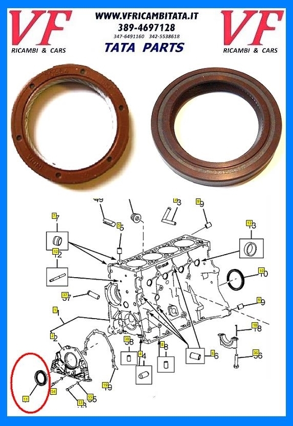 SAFARI - TELCOLINE - XENON : ALBERO MOTORE - PARAOLIO ANTERIORE - COD-N0023-6B-MF8