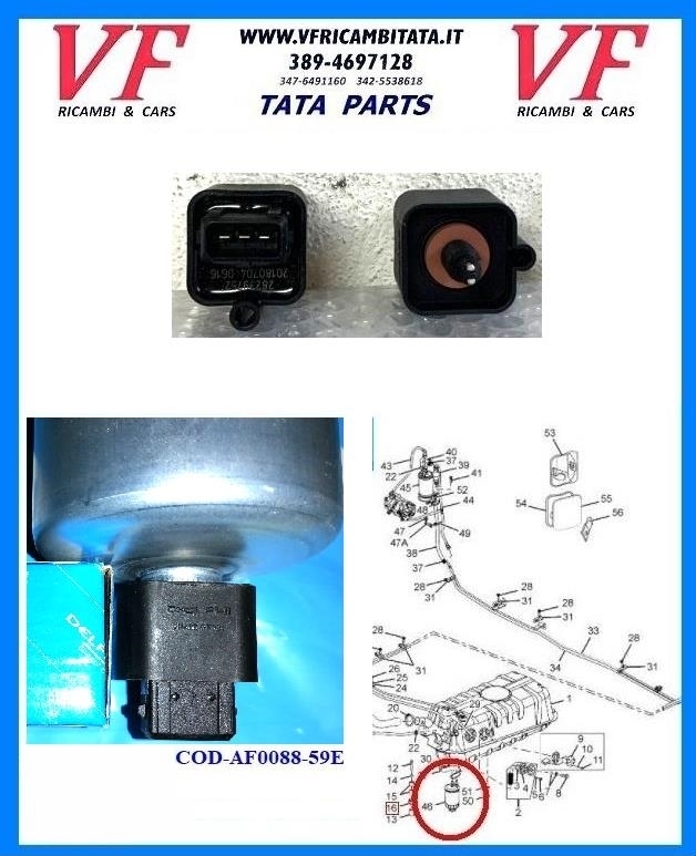 SAFARI - TELCOLINE - XENON : FILTRO GASOLIO DECANTER - SENSORE DELPHI - COD-AF0088-59E