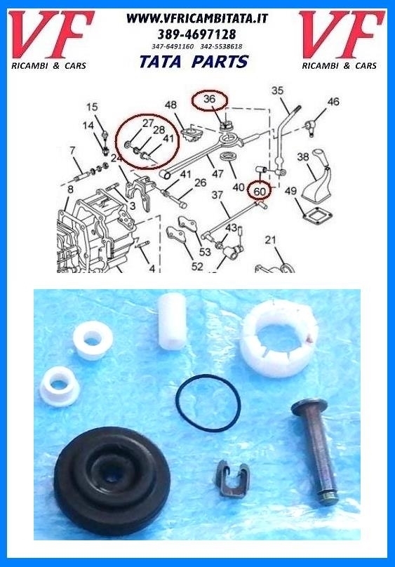 SAFARI - TELCOLINE - XENON : LEVERAGGIO CAMBIO - KIT BOCCOLE LEVE - COD-AF0089-60B