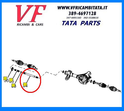 TATA ARIA : SEMIASSE - ALBERINO INTERMEDIO - COD-V0090