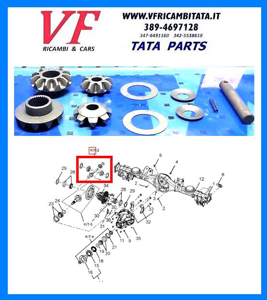 TATA ARIA : DIFFERENZIALE - KIT SATELLITI e PLANETARI - COD-E0060-39C  COD-E0061-38B