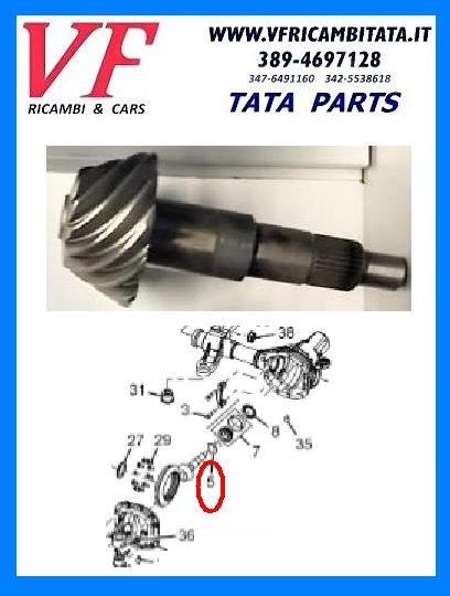 TATA ARIA : DIFFERENZIALE - PIGNONE - COD-V0066