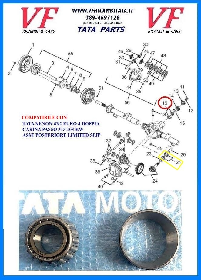 SAFARI - TELCOLINE - XENON : CUSCINETTO INTERNO PIGNONE - COD-Q0077-TRV8