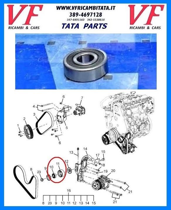 SAFARI - TELCOLINE - XENON : CINGHIA SERVIZI ALTERNATORE - CUSCINETTO TENDITORE - COD-Y0048-9B-TRV19