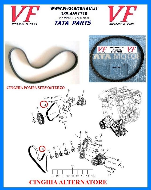 SAFARI - TELCOLINE - XENON : CINGHIA SERVIZI ALTERNATORE - ARIA COND - IDROGUIDA - COD-AE0051-6E