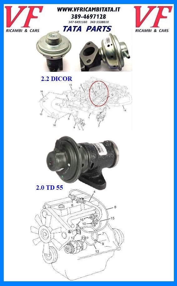 SAFARI - TELCOLINE - XENON : EGR - VALVOLA 2.0 TD - 2.2 DICOR - COD-B0038-REV