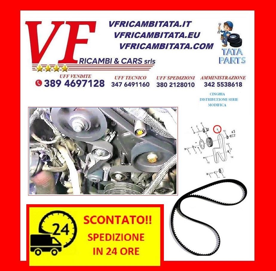 SAFARI - TELCOLINE - XENON : A - DISTRIBUZIONE 2.2 DICOR - CINGHIA DENTATA SERIE MODIFICA - COD-B0004-TRV19 - RICAMBIO IN OFFERTA CON SPEDIZIONE IN 24 ORE
