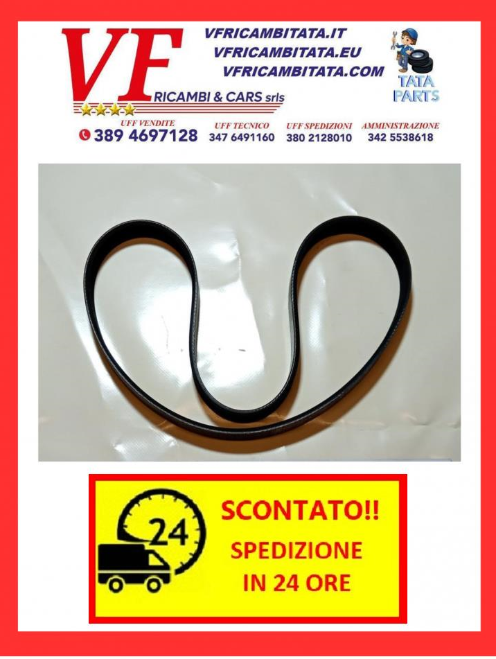 TATA ARIA : CINGHIA SERVIZI ALTERNATORE - SERVOSTERZO - COD-AC0044-6C - RICAMBIO IN OFFERTA CON SPEDIZIONE IN 24 ORE