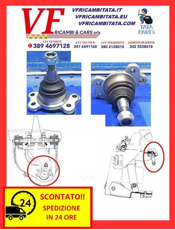 SAFARI - TELCOLINE - XENON : BRACCIO SOSPENSIONE SUPERIORE - TESTINA - COD-M0036-TRV9 -RICAMBIO IN OFFERTA CON SPEDIZIONE IN 24 ORE