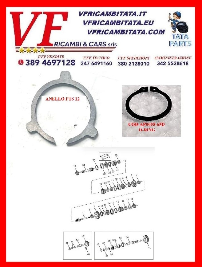 SAFARI - TELCOLINE - XENON : CAMBIO - O-RING - ANELLO ELASTICIZZATO - COD-AP0055-65D