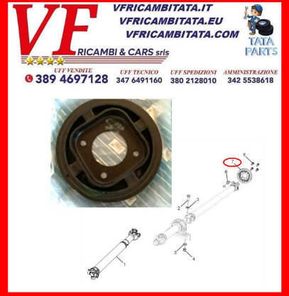 SAFARI - TELCOLINE - XENON : SMORZATORE VIBRAZIONI TORSIONALI - COD-G0063-REV
