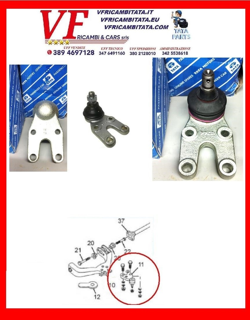 SAFARI - TELCOLINE - XENON : BRACCIO SOSPENSIONE INFERIORE - TESTINA - COD-M0051-TRV9